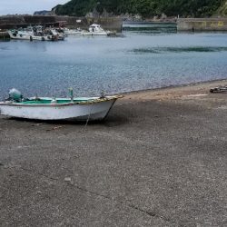 青物からキス狙いまで