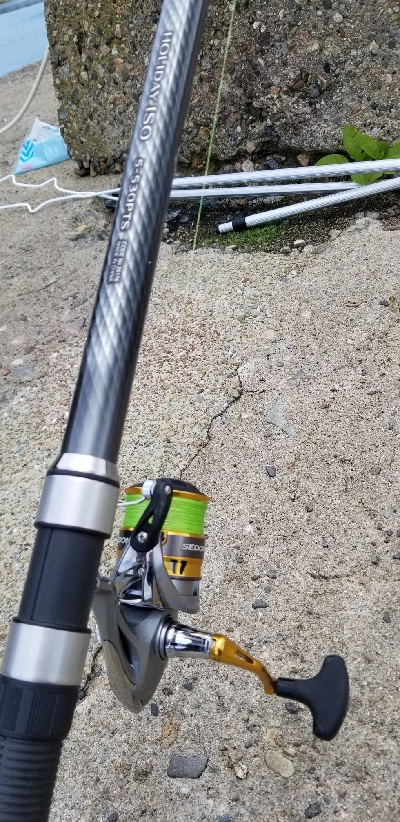 アコウ ガシラ キス 五目釣り