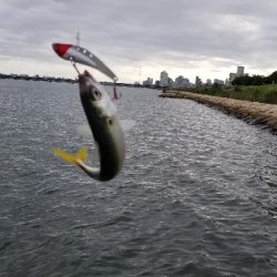 淀川でサバゲー。