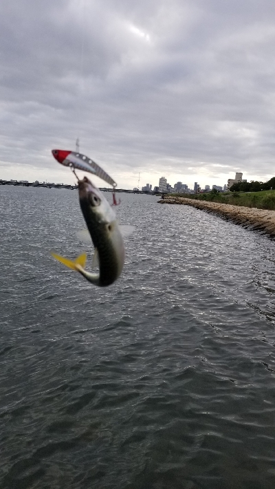 淀川でサバゲー。