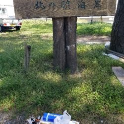 過去最大サイズ!