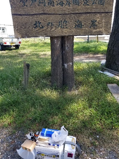 過去最大サイズ!