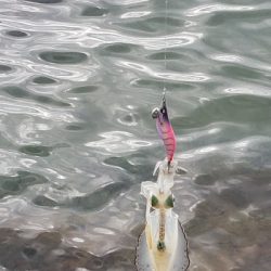 台風後だが行ってみた！