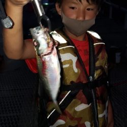 のませでガシラが釣れました