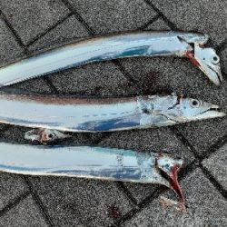 平日にも関わらず混みすぎ