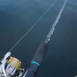 沖堤で青物狙い