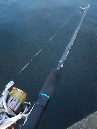 沖堤で青物狙い