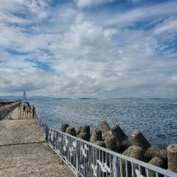 夜勤明けエギング