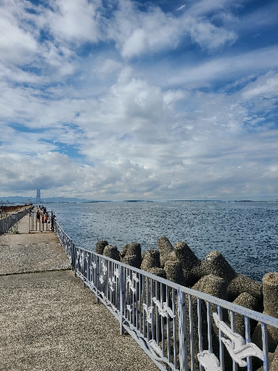 夜勤明けエギング