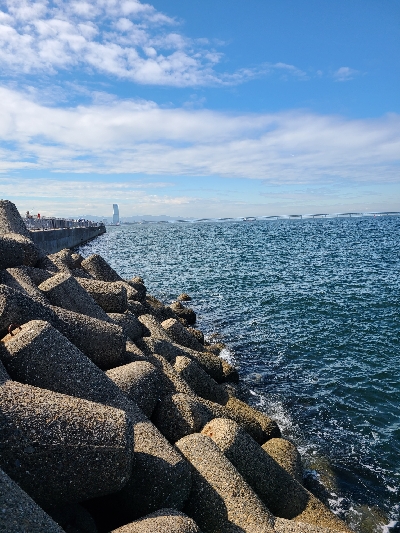 アオリ大きくなってます！