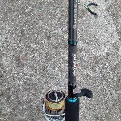 泉大津エリア、タチウオ&青物調査