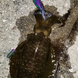 ウネリを避けて漁港内の奥へ