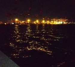 真っ昼間に高活性