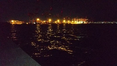 真っ昼間に高活性