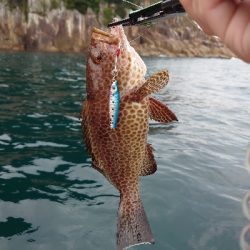 レンタル手漕ぎボート