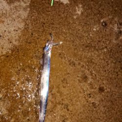 タイミング次第かな