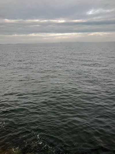 青物○ タチウオ☓