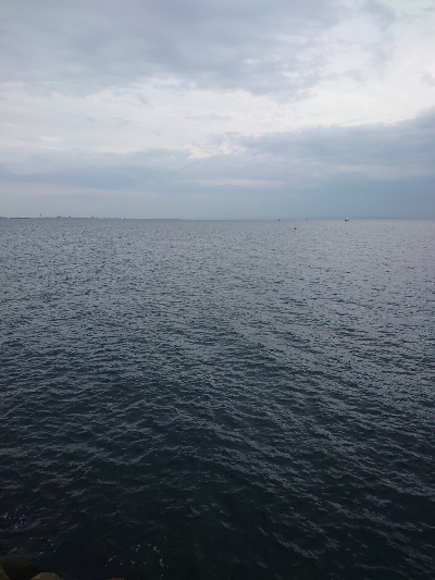 青物もタチウオも渋い