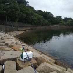 室津のキス釣り