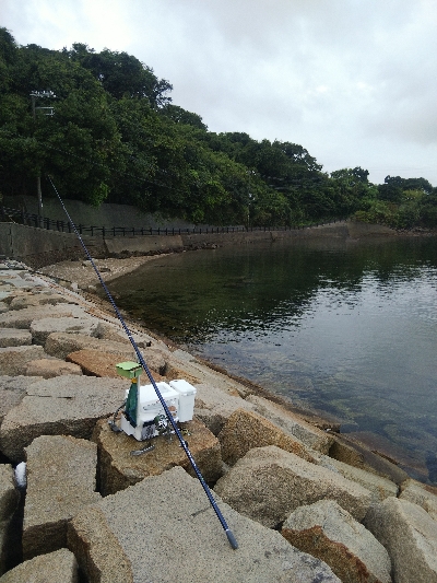 室津のキス釣り