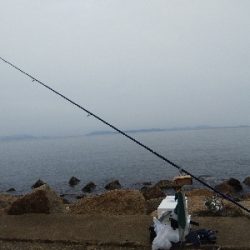 苅屋海岸のキス釣り