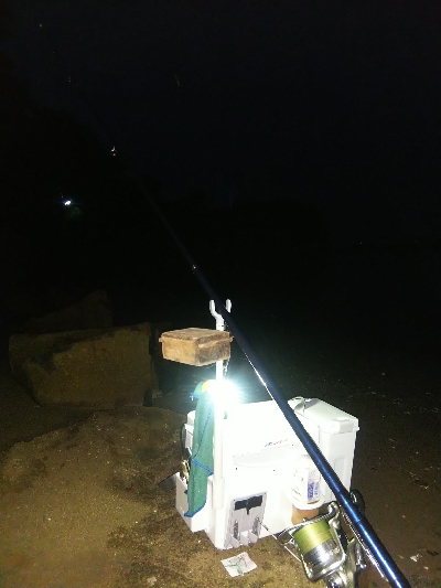 室津のキス釣り