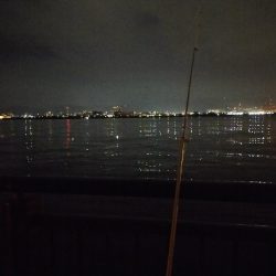 何とか大サバ、太刀魚