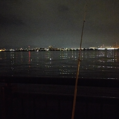 何とか大サバ、太刀魚