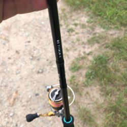 シーズン開幕!ロッド墨付け!