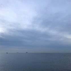 到着後程なくして時合でツキあり