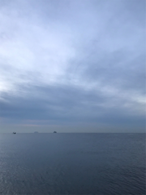 到着後程なくして時合でツキあり