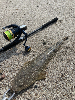 まだまだマゴチ釣れるかなぁ