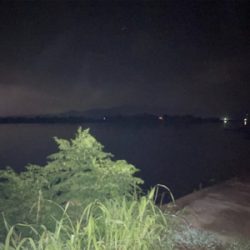 調子に乗って本日も仕事帰り釣行