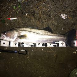 ランカー&つ抜け達成！！！