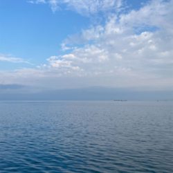 シオ!2021ライトゲーム第28戦