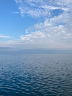 シオ!2021ライトゲーム第28戦