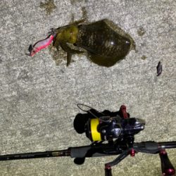 マナーを大切に!