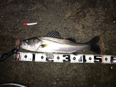 食い込みが浅いかと思いきやフックが伸びていた(>_<)