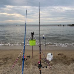 久しぶりの砂浜からの投げ釣りです。