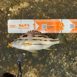 秋の気配がぼちぼち