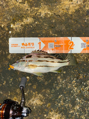 秋の気配がぼちぼち