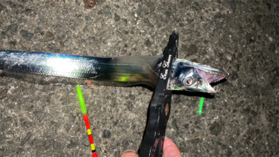 タチウオナイト