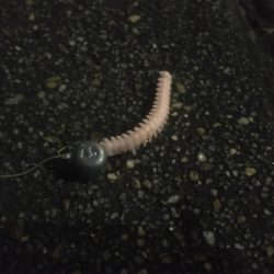 サバング?サバリング?サバゲー?