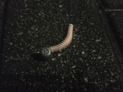 サバング?サバリング?サバゲー?