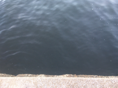 タチウオ狙うも