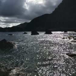 地磯ロックフィッシュ