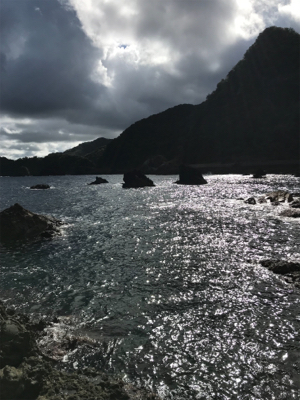 地磯ロックフィッシュ