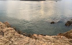 フカセ アンドエギング