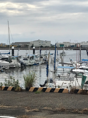 タチウオ入れ食い