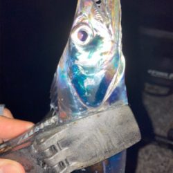 2021ライトゲーム第29戦